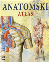 Anatomski atlas